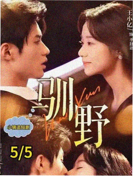 财阀家的小儿子韩剧